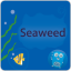 seaweedfs