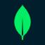 mongodb
